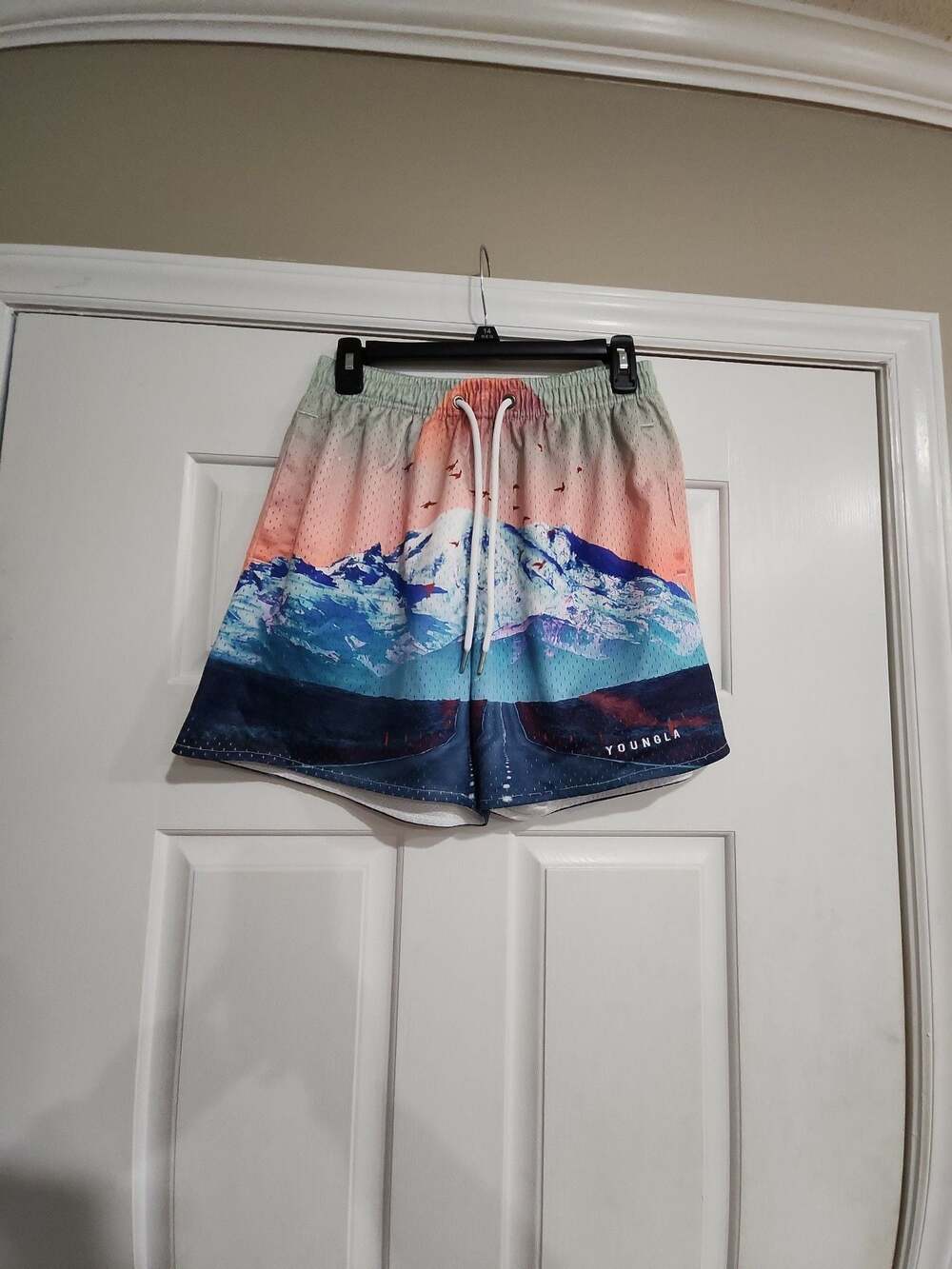 YoungLA After Party Mystic Mountain Mesh Shorts